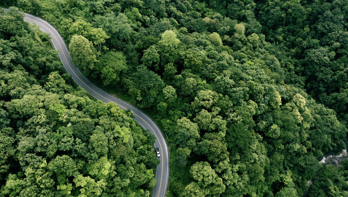 Greenwashing in de kledingindustrie: zo herken je nep-duurzaamheid - Undiemeister