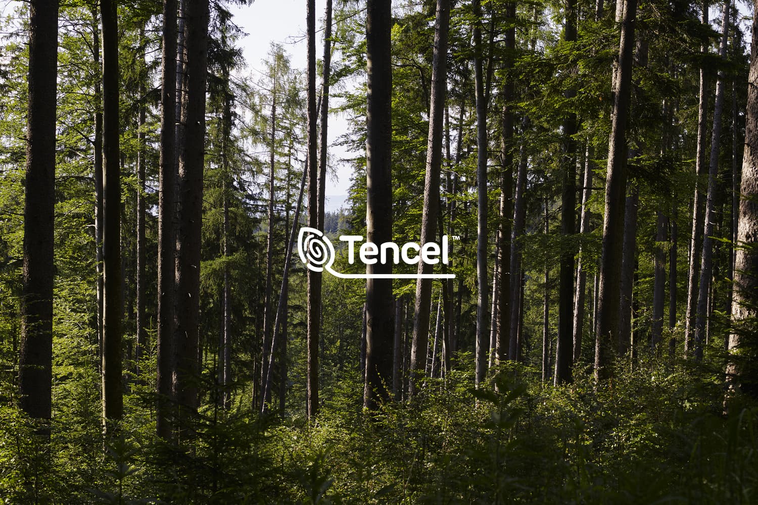 Wat is TENCEL™ en waarom het een duurzamer alternatief is voor katoen en bamboe - Undiemeister