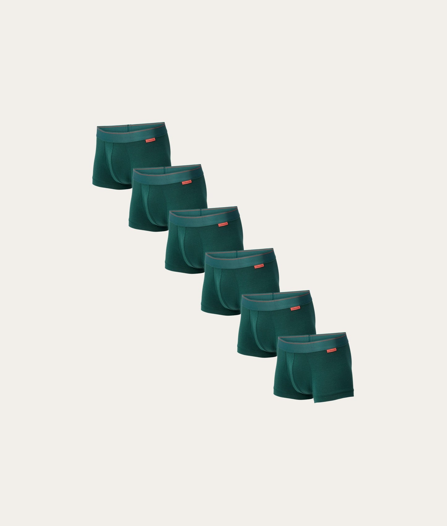 Groene Trunk Misty Forest (6 - pack) - Undiemeister