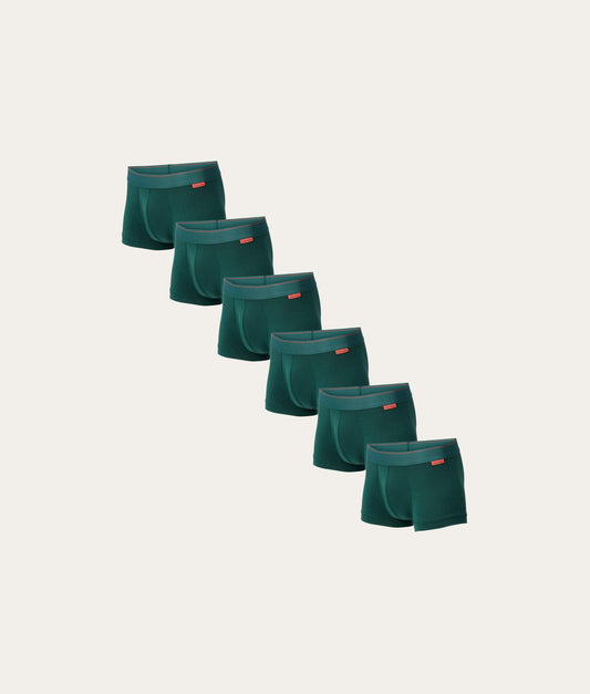 Groene Trunk Misty Forest (6 - pack) - Undiemeister